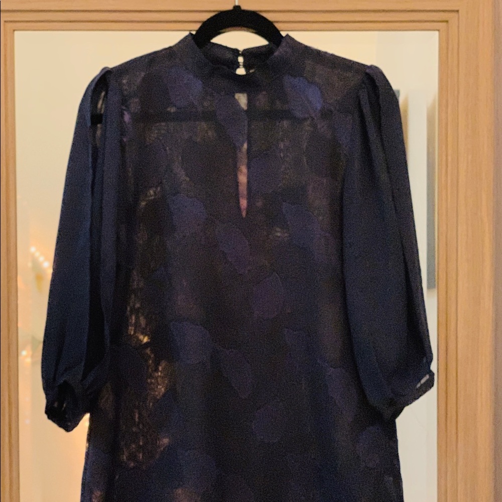 Sheer Date Night Dress